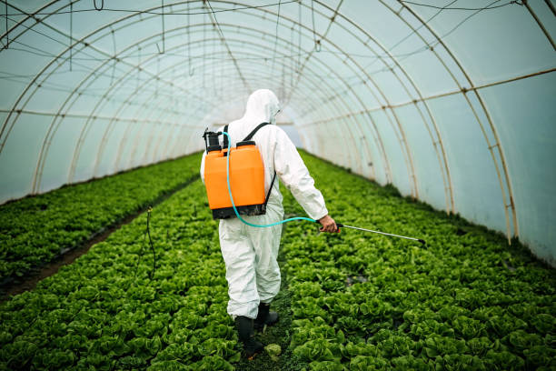 Best Mosquito Control Services  in , MI