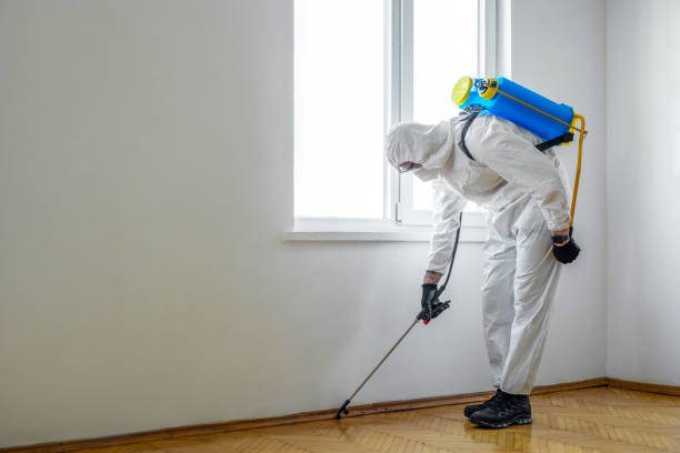 Best Affordable Pest Control Services  in , MI