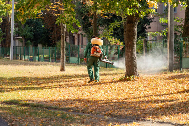 Best Pest Removal Services  in , MI