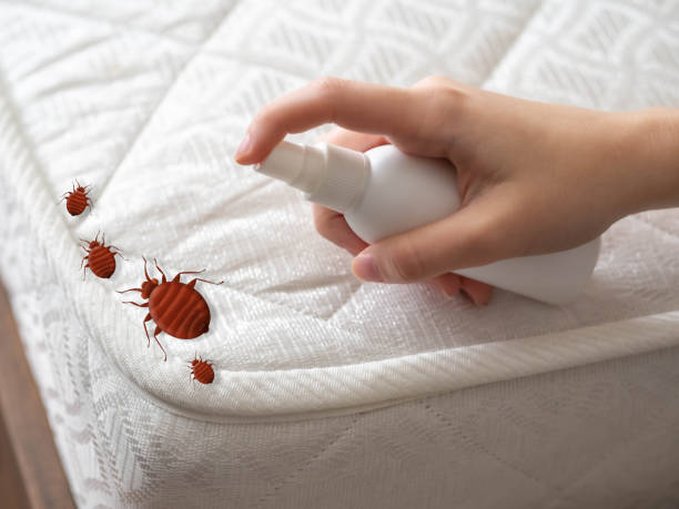 Best Pest Control Cost  in , MI