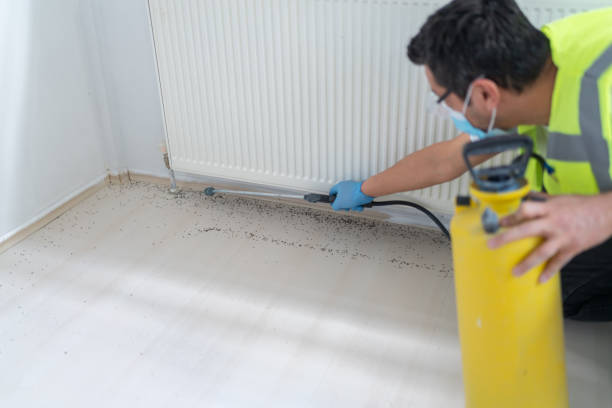Best Termite Control Services  in , MI