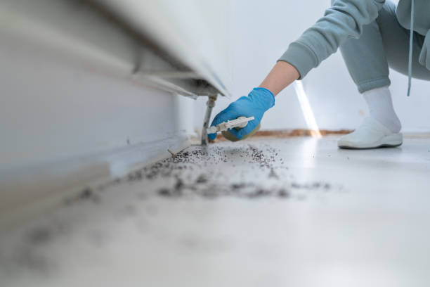 Best Pest Control Near Me  in , MI
